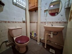 Blk 102B Punggol Field (Punggol), HDB 5 Rooms #504638221